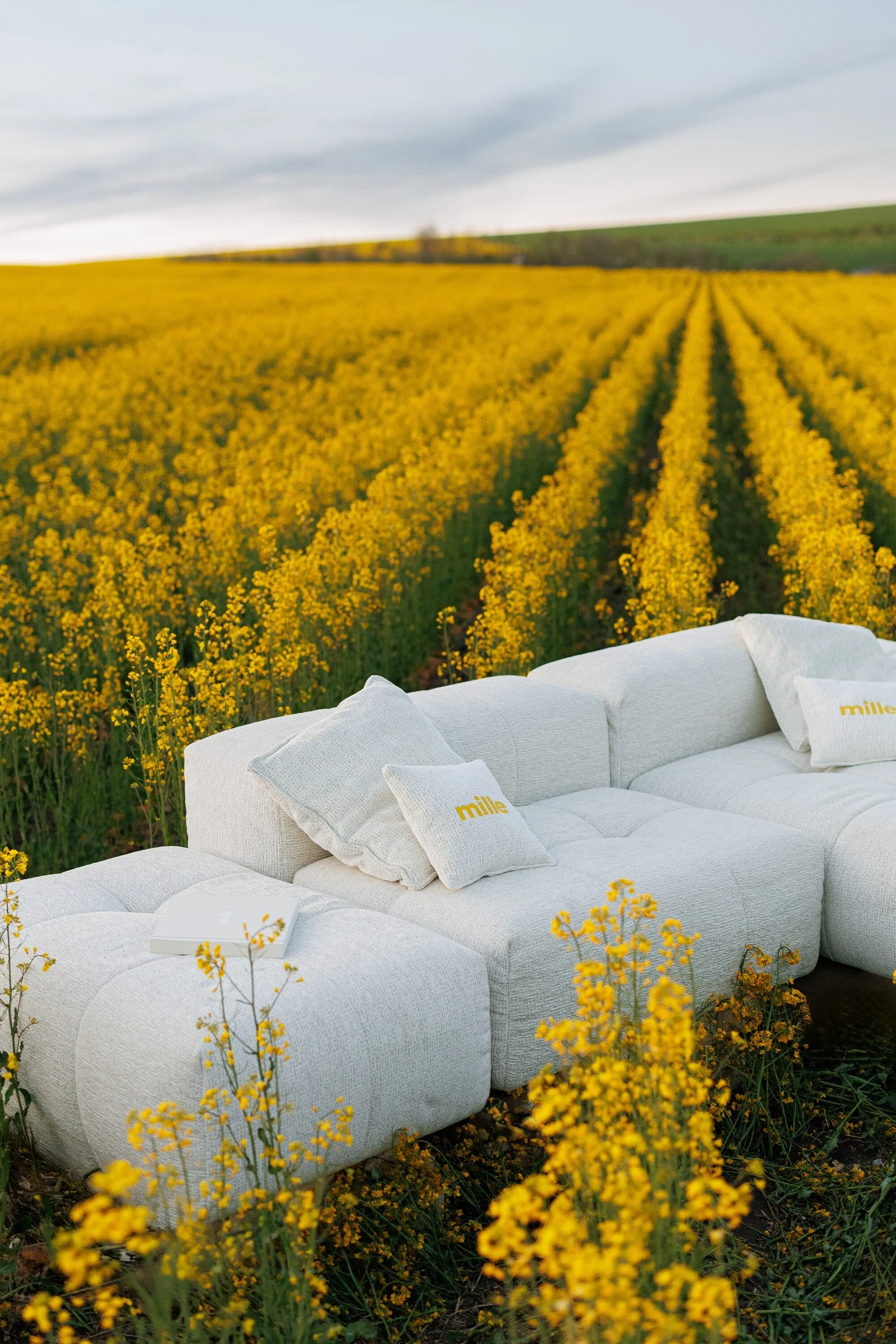 Cream Nami sectional in a canola field at dusk with Mille pillows on the cushions