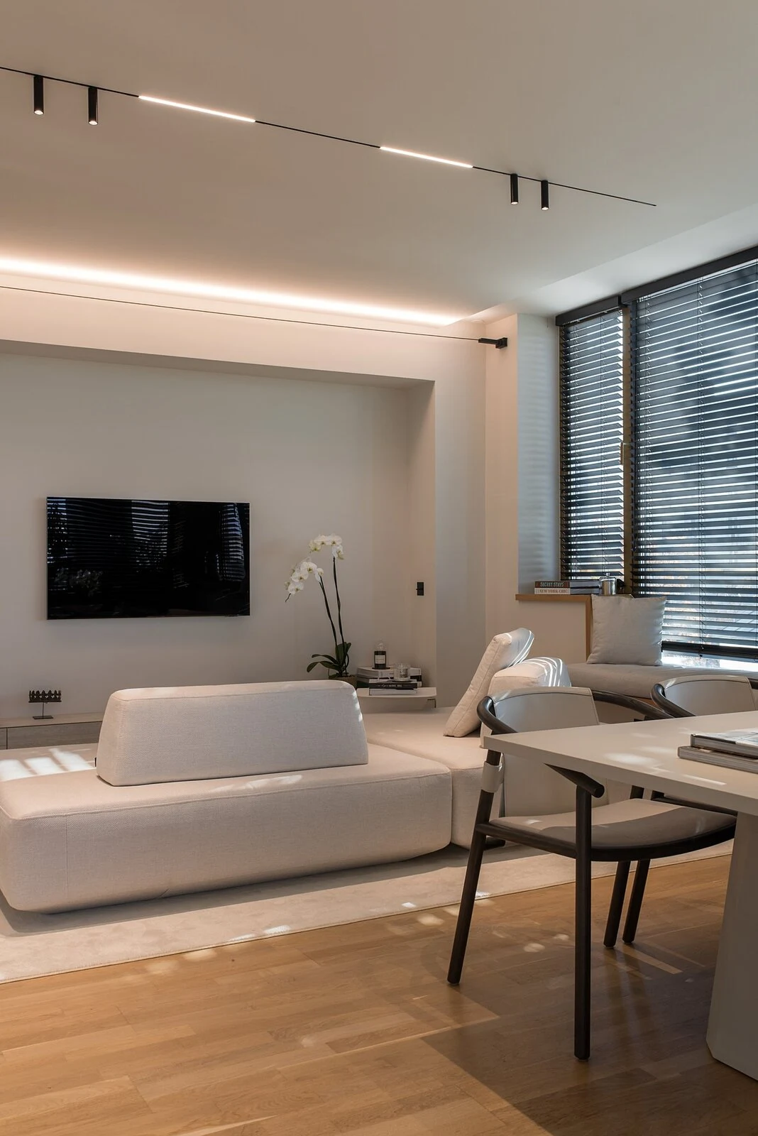 Cream Deseda before a mounted television in a sunlit modern apartment