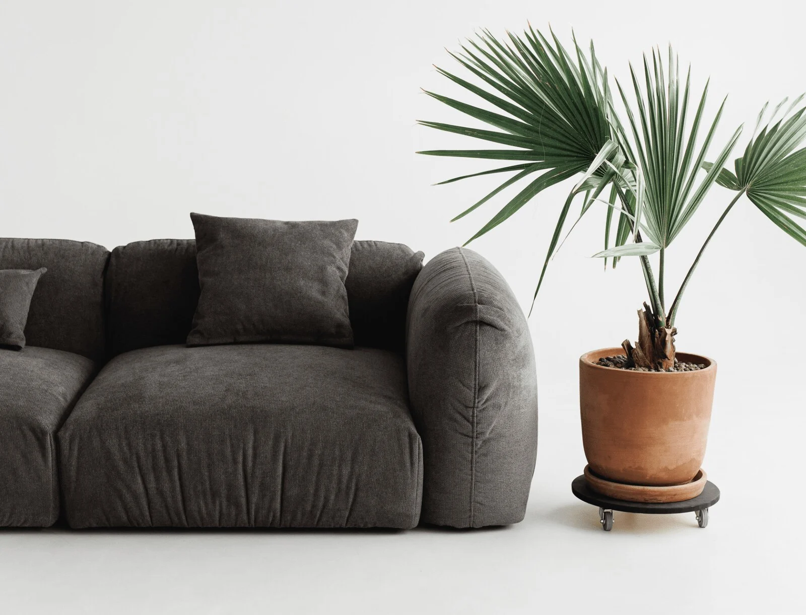 Lifestyle photograph of the Tesa sofa